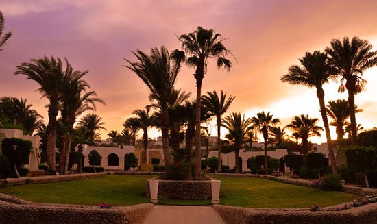 Hurghada- Regina Swiss Inn Resort & Aqua Park.